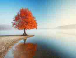 免‌费﻿搜​索﻿控​制​台‌脚​本﻿